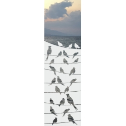 ROZ27 59x135 naklejka na okno wzory zwierzęce - ptaki